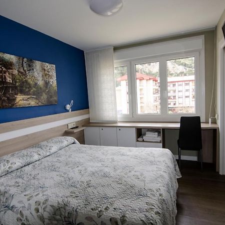 Pension Ibai Ega Estella Extérieur photo