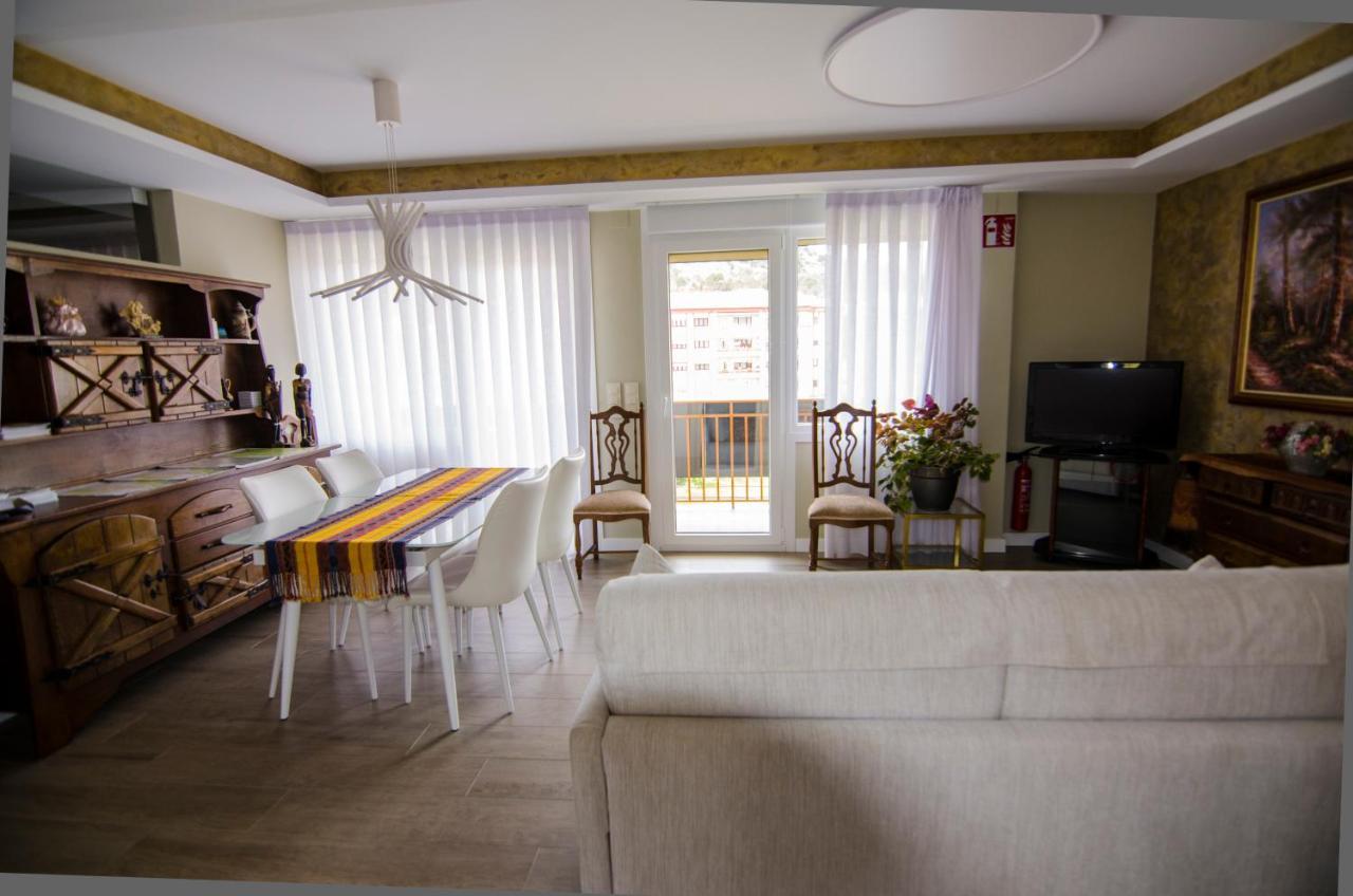 Pension Ibai Ega Estella Extérieur photo